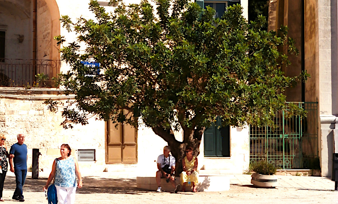 Hairdo in Basilicata - Keeping to the shade