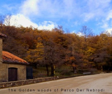 Journey to Carini - Golden woods of Parco Dei Nebrodi