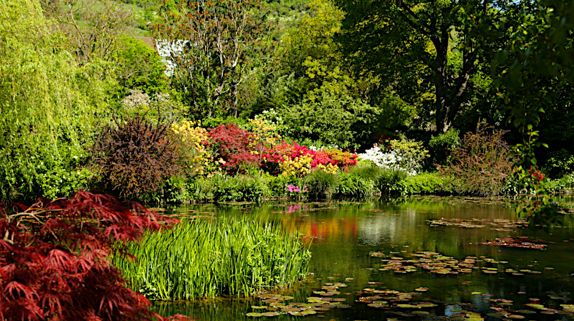 Monet's Garden - Monet's Lake2
