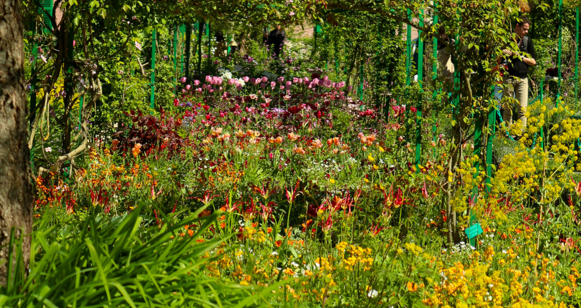 Monet's Garden - Monet's Palette - 
