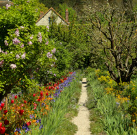 Monet's Garden - Strip Borders