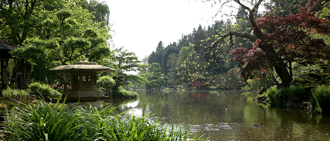 Magical Japanese Garden - Lake view 2