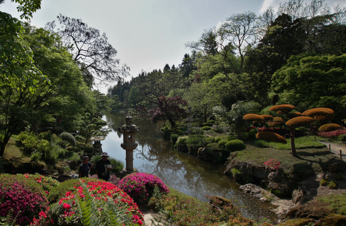 Magical Japanese Garden - Lake view
