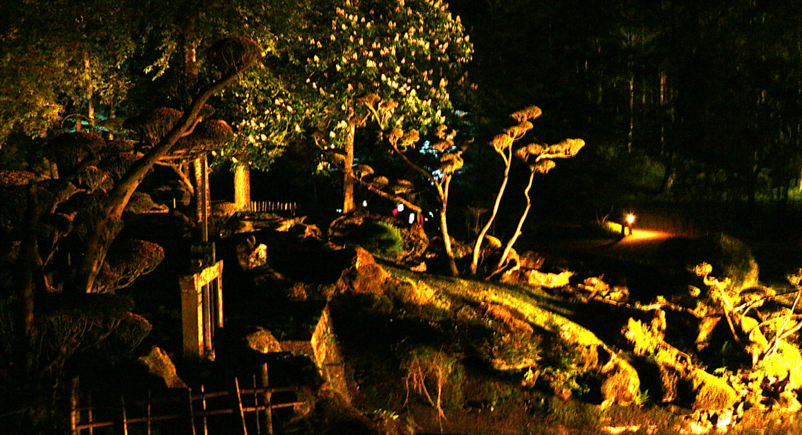 Magical Japanese Garden - Night Lights 3